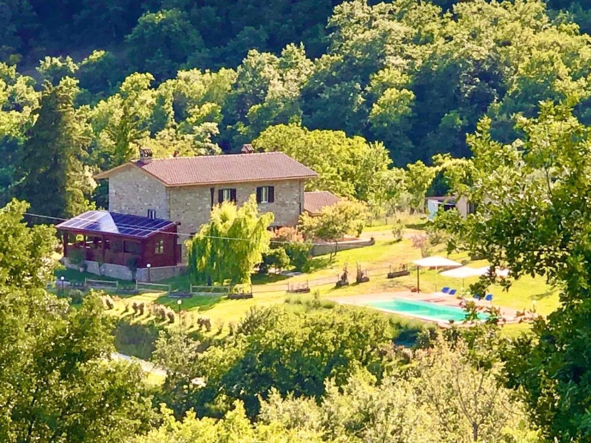 Agriturismo Vista Sole Villa Mercatale  Ngoại thất bức ảnh