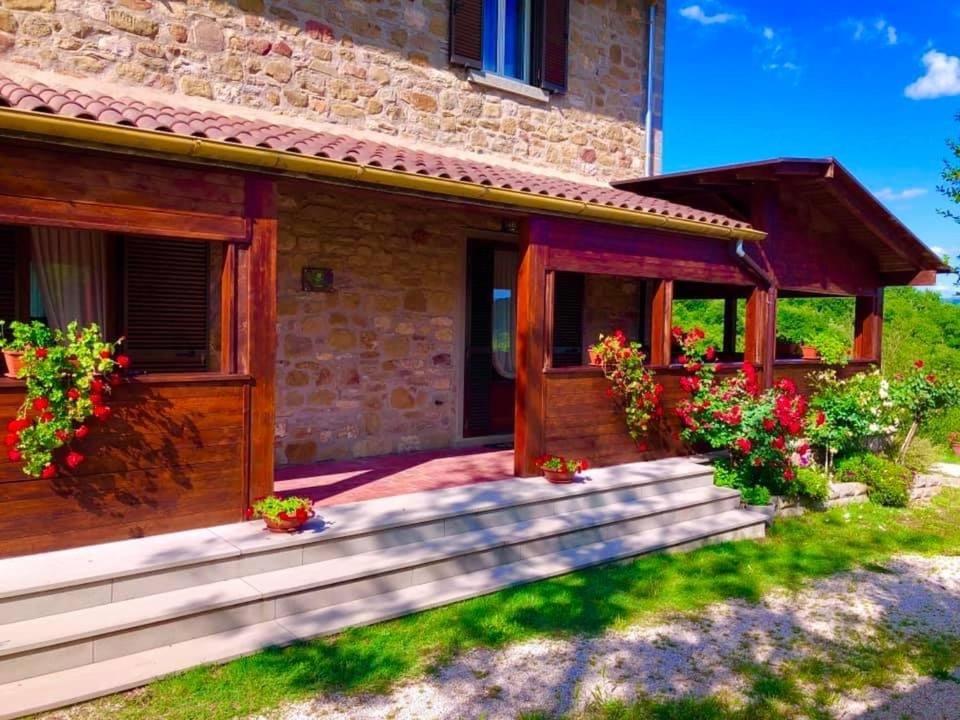 Agriturismo Vista Sole Villa Mercatale  Ngoại thất bức ảnh