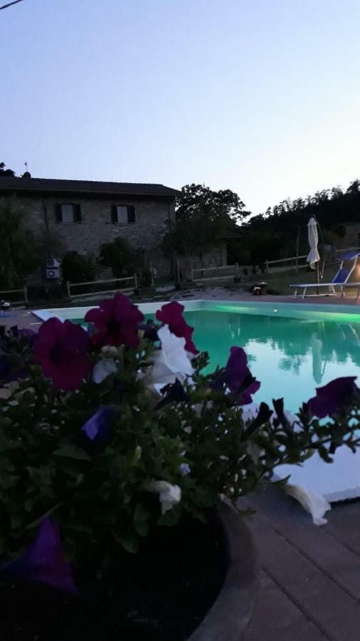 Agriturismo Vista Sole Villa Mercatale  Ngoại thất bức ảnh