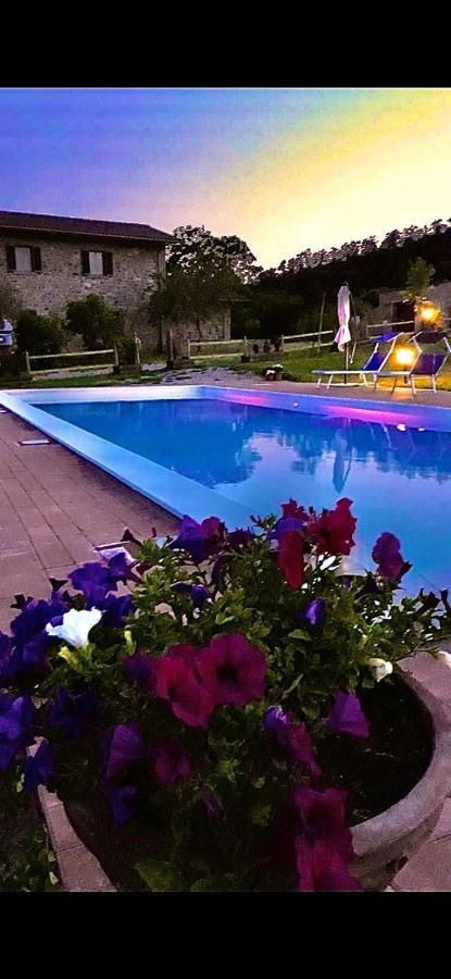Agriturismo Vista Sole Villa Mercatale  Ngoại thất bức ảnh
