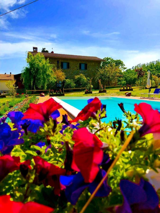 Agriturismo Vista Sole Villa Mercatale  Ngoại thất bức ảnh